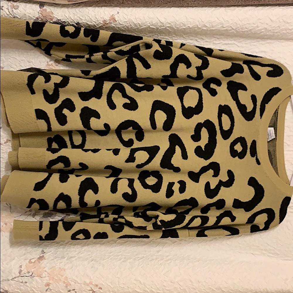 Cheetah Sweater